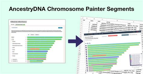 dnapainter|dna painter 4.0.